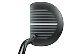 Zebra AIT 1 putter.
